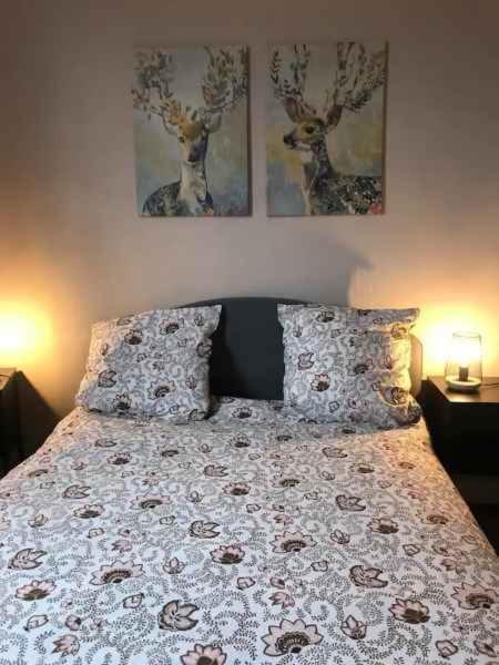 Bel Appartement Hypercentre T3/70 M2 Clermont-Ferrand Eksteriør billede